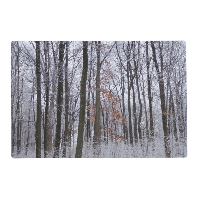 Snow Dusted Forest Winter Landscape Photography Placemat (Front)
