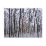 Snow Dusted Forest Winter Landscape Photography Postcard