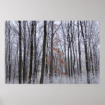 Snow Dusted Forest Winter Landscape Photography Poster