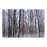 Snow Dusted Forest Winter Landscape Photography Poster