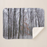 Snow Dusted Forest Winter Landscape Photography Sherpa Blanket