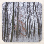 Snow Dusted Forest Winter Landscape Photography Square Paper Coaster