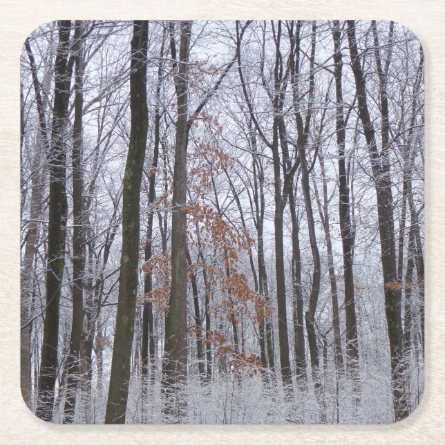 Snow Dusted Forest Winter Landscape Photography Square Paper Coaster (Front)