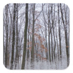Snow Dusted Forest Winter Landscape Photography Square Sticker