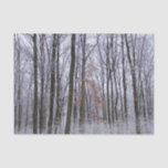Snow Dusted Forest Winter Landscape Photography Tissue Paper