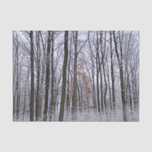 Snow Dusted Forest Winter Landscape Photography Tissue Paper