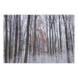Snow Dusted Forest Winter Landscape Photography Wrapping Paper Sheets
