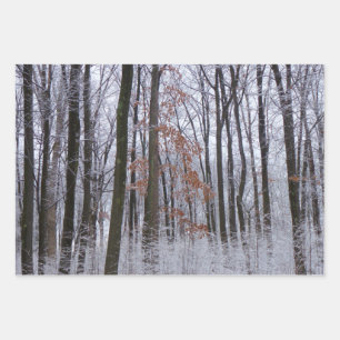 Snow Dusted Forest Winter Landscape Photography Wrapping Paper Sheets
