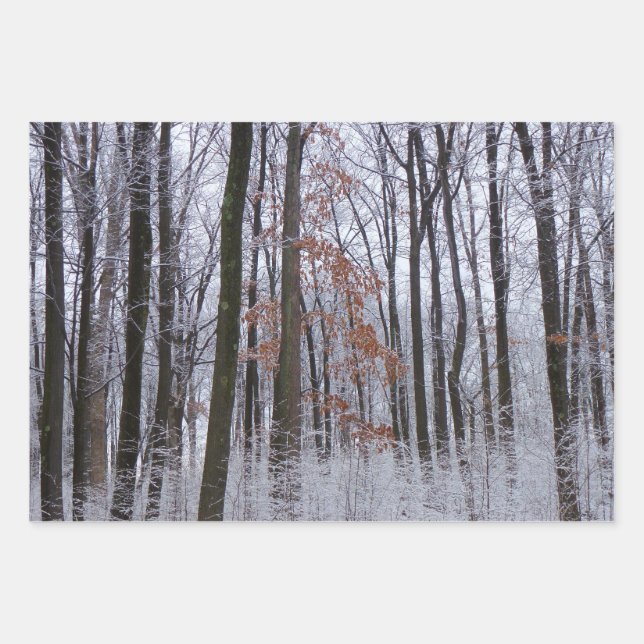 Snow Dusted Forest Winter Landscape Photography Wrapping Paper Sheets (Front)