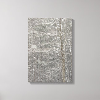 Snow Falling Canvas Print