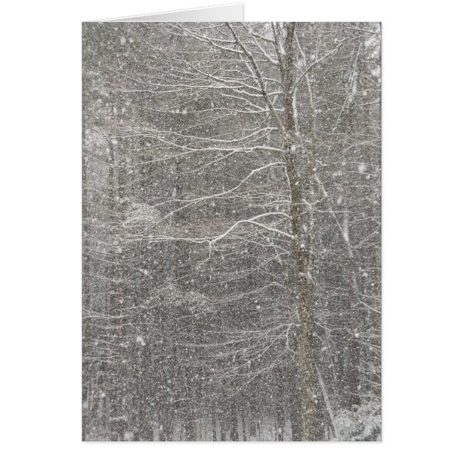 Snow Falling Card