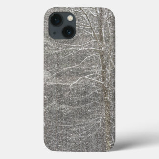 Snow Falling iPhone 13 Case