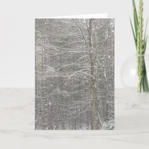 Snow Falling Holiday Card