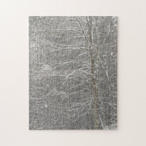 Snow Falling Jigsaw Puzzle