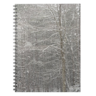 Snow Falling Notebook