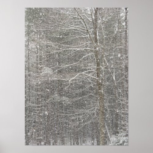 Snow Falling Poster