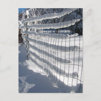Snow Fence ~ postcard