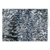 Snow Fir Tree Texture Cards (Front Horizontal)