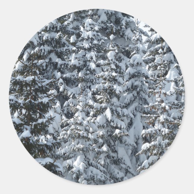 Snow Fir Tree Texture Classic Round Sticker (Front)