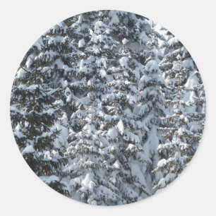 Snow Fir Tree Texture Classic Round Sticker