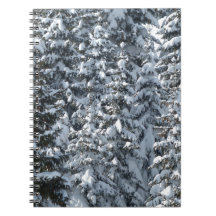 Snow Fir Tree Texture