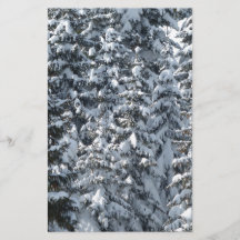 Snow Fir Tree Texture