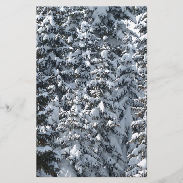 Snow Fir Tree Texture Stationery (Front)