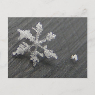 Snow Flake 44 ~ postcard