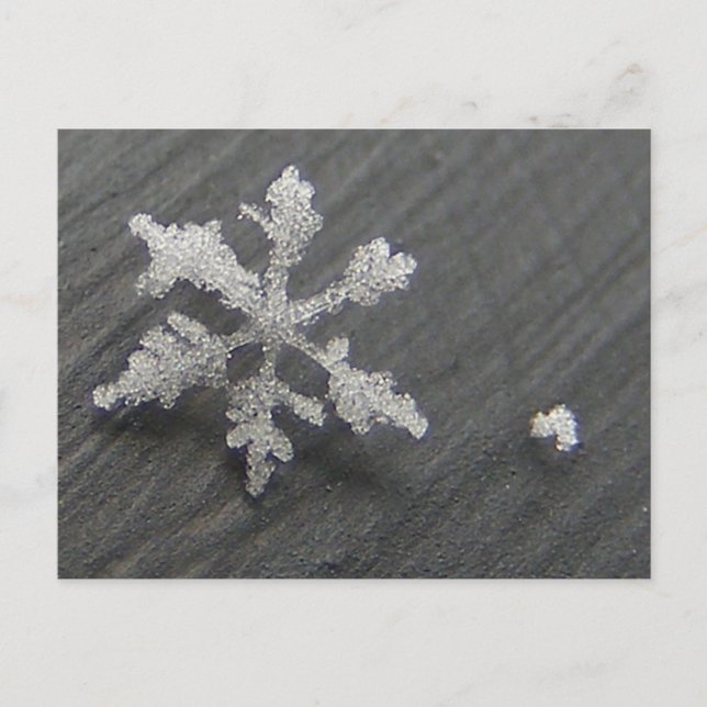 Snow Flake 44 ~ postcard (Front)