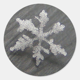Snow Flake 44 ~ stickers