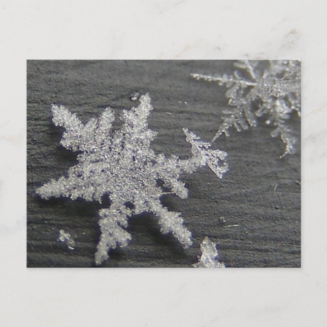 Snow Flake 45 ~ postcard (Front)