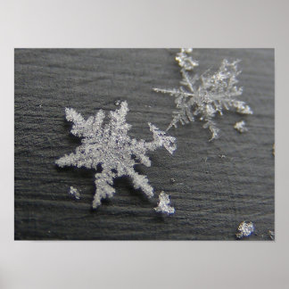 Snow Flake 45 ~ print