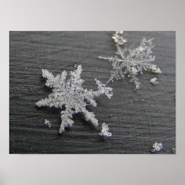 Snow Flake 45 ~ print (Front)