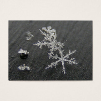 Snow Flake 49 ~ ATC