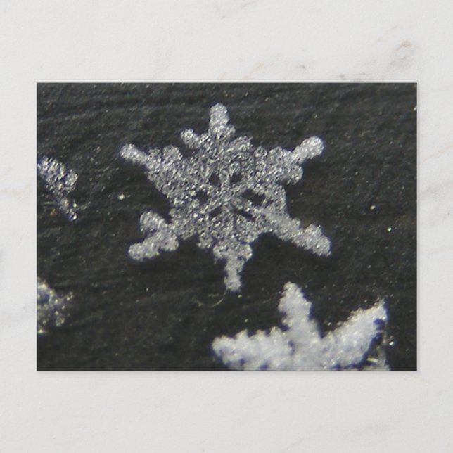 Snow Flake 56 ~ postcard (Front)