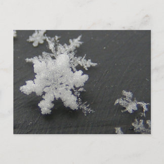Snow Flake 73 ~ postcard