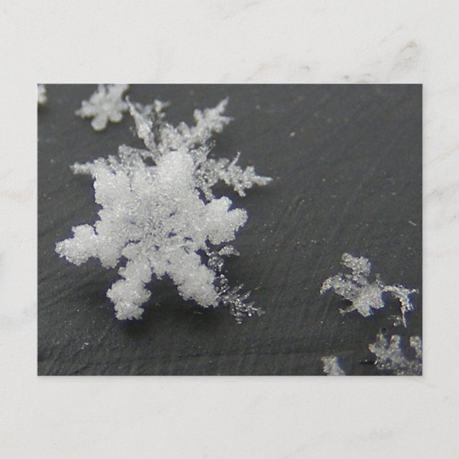 Snow Flake 73 ~ postcard (Front)