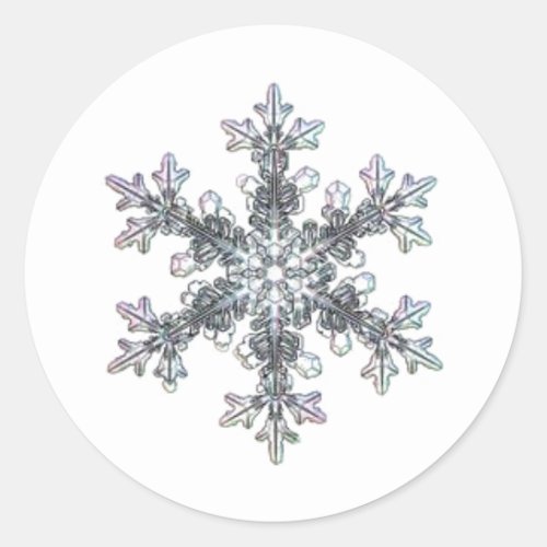 Snow flake classic round sticker