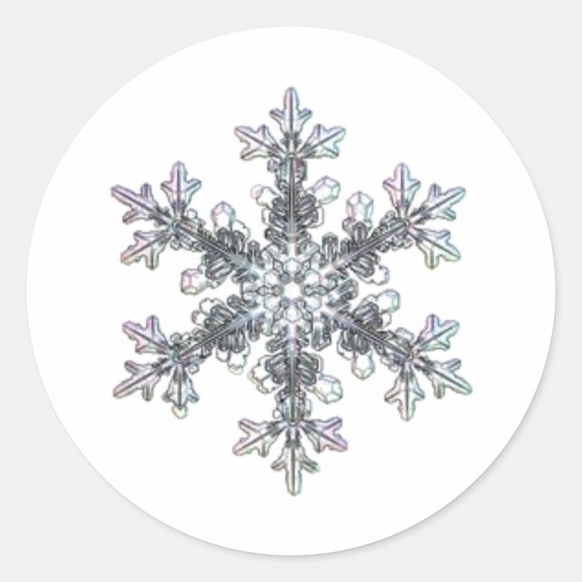 Snow flake classic round sticker (Front)