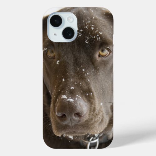 Snow Flake Covered Chocolate Lab Photo Close Up iPhone 15 Case