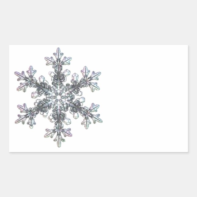 Snow flake rectangular sticker (Front)