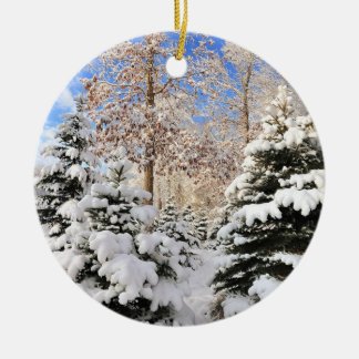 Snow for Christmas Ornament