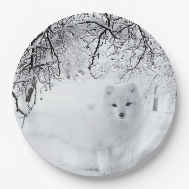 Snow Fox in Winter Woods Paper Plates (Front)
