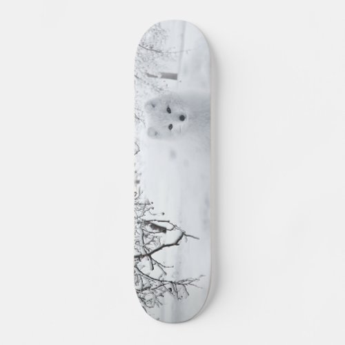 Snow Fox in Winter Woods Skateboard