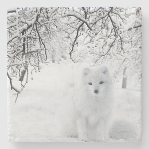 Snow Fox in Winter Woods Stone Coaster