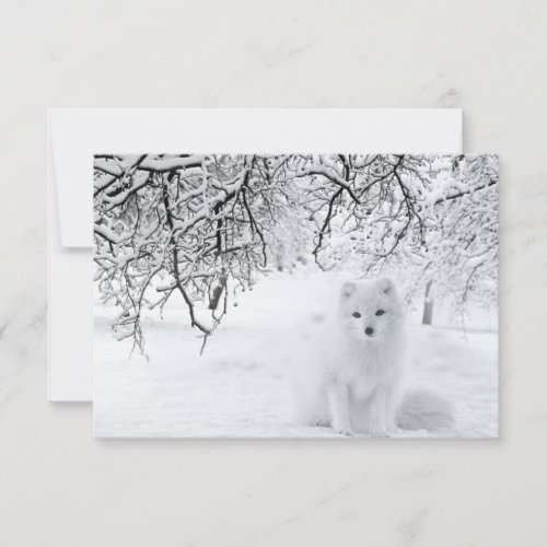 Snow Fox in Winter Woods Thank You Card