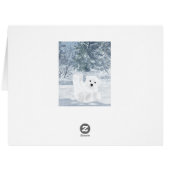 Snow Fun - Polar Bear Cubs Cards (Back Horizontal)