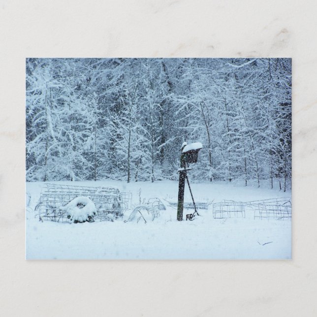 Snow Garden Postcard (Front)