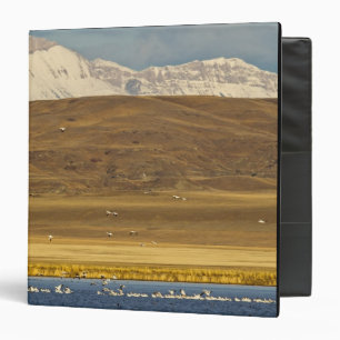 Snow geese during spring migration 3 ring binder