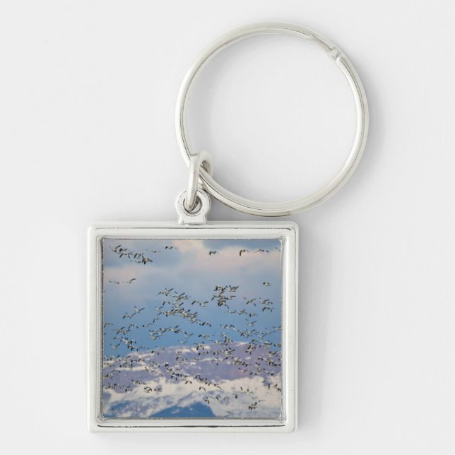 Snow geese during spring migration keychain (Front)